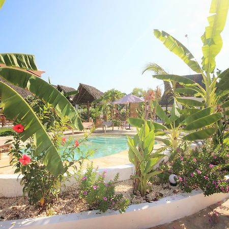 Paradise Beach Resort & Spa Uroa Esterno foto