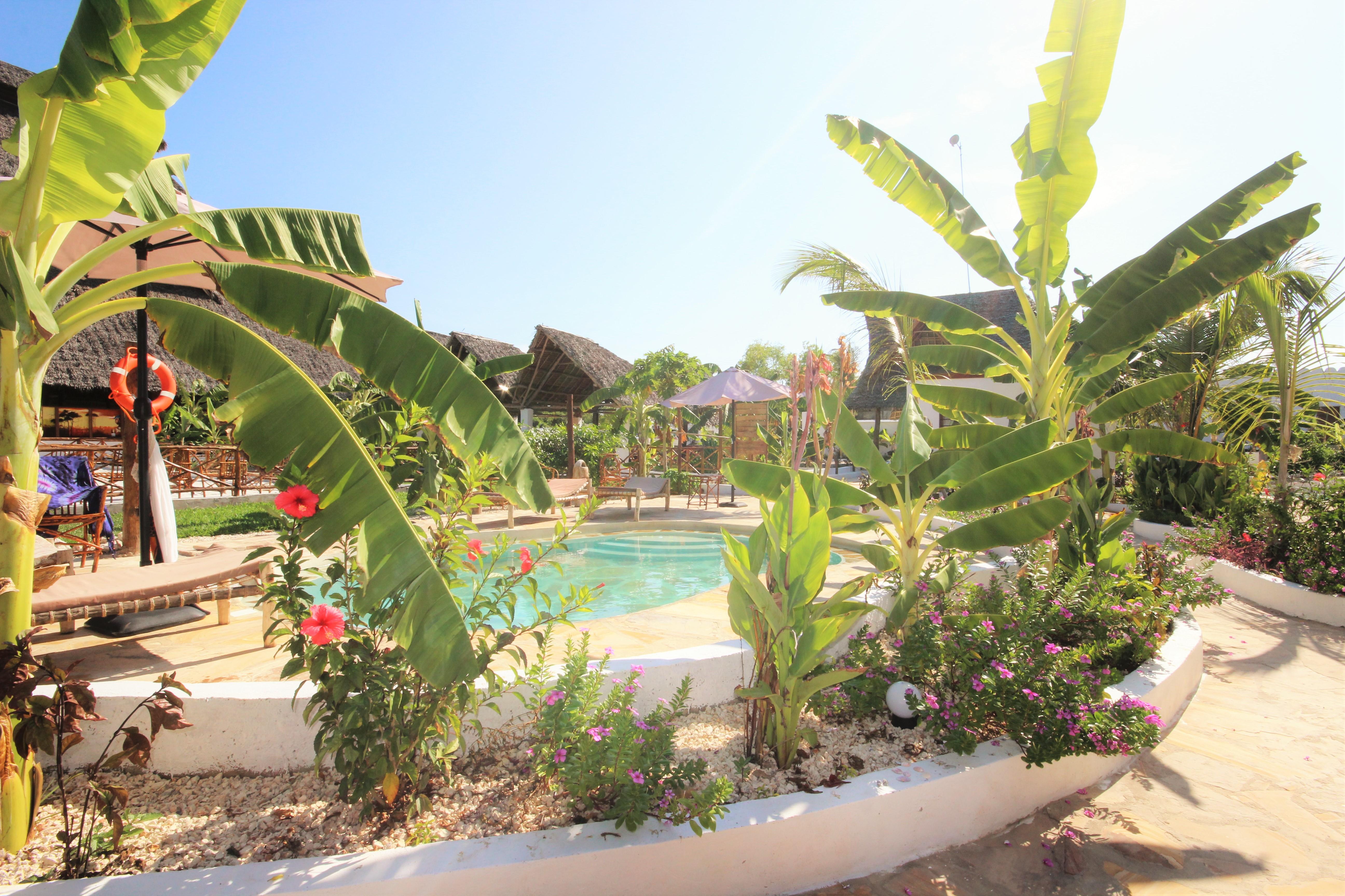 Paradise Beach Resort & Spa Uroa Esterno foto